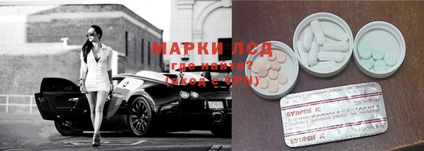 ПСИЛОЦИБИНОВЫЕ ГРИБЫ Алексин