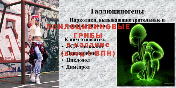 ПСИЛОЦИБИНОВЫЕ ГРИБЫ Алексин