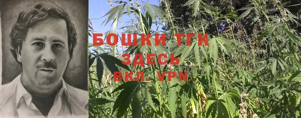 ПСИЛОЦИБИНОВЫЕ ГРИБЫ Алексин